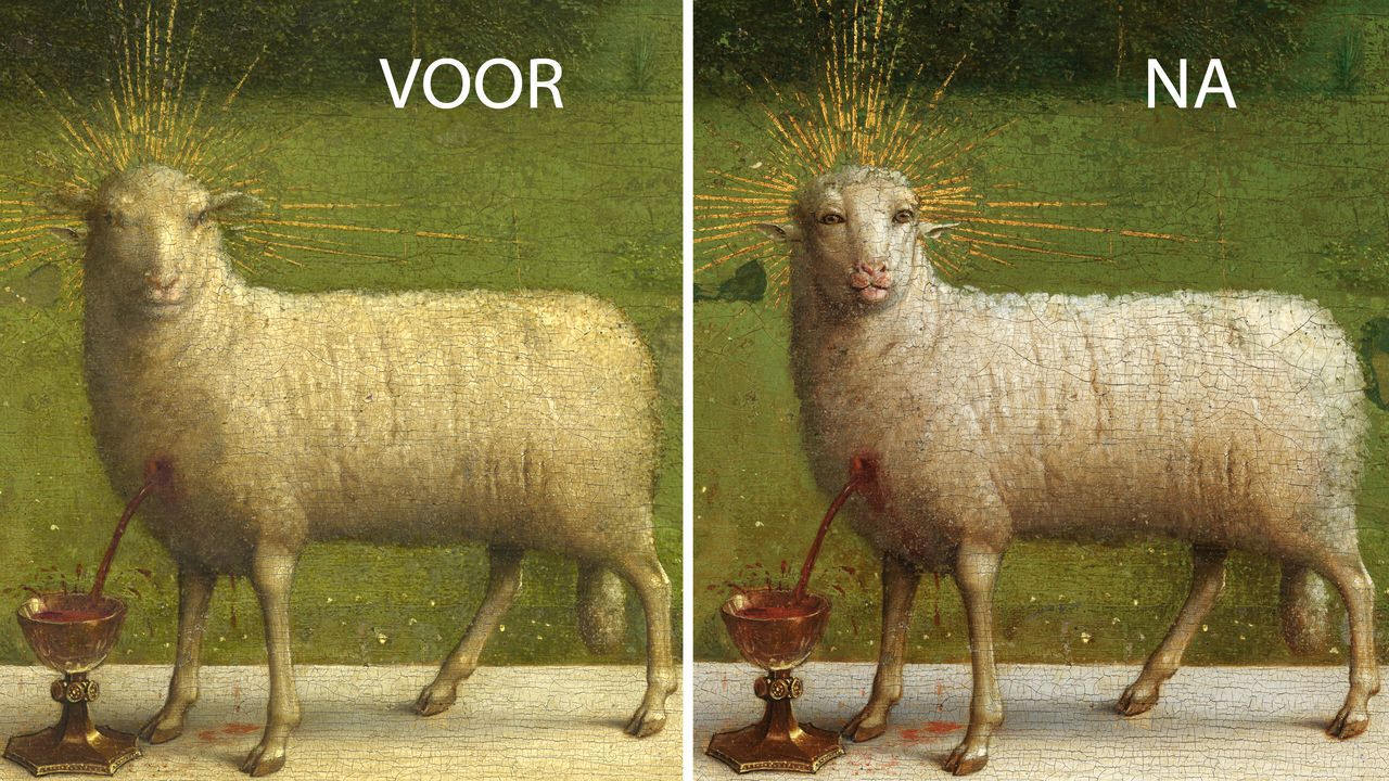 lamgods - voor en na